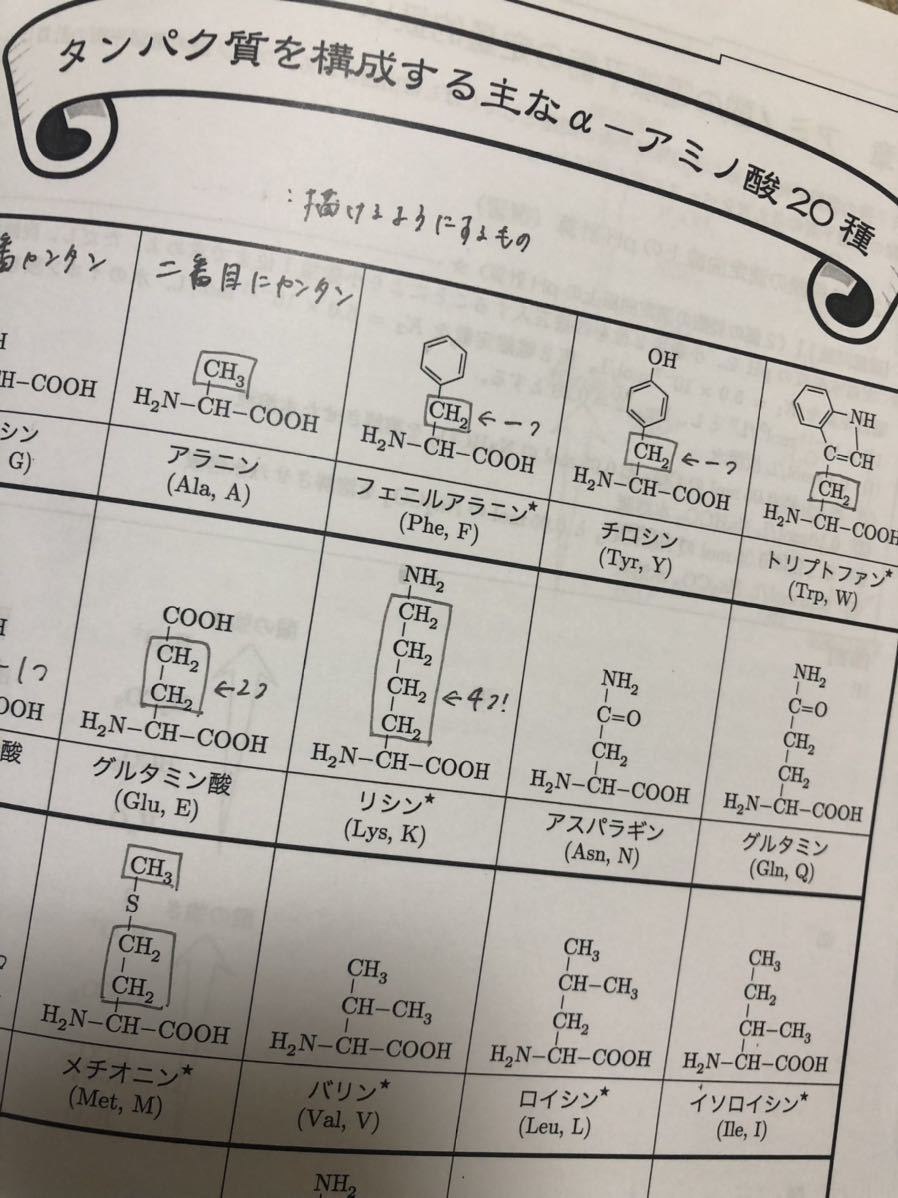鉄緑会 高3 化学 発展講座 寺田先生 授業冊子25冊