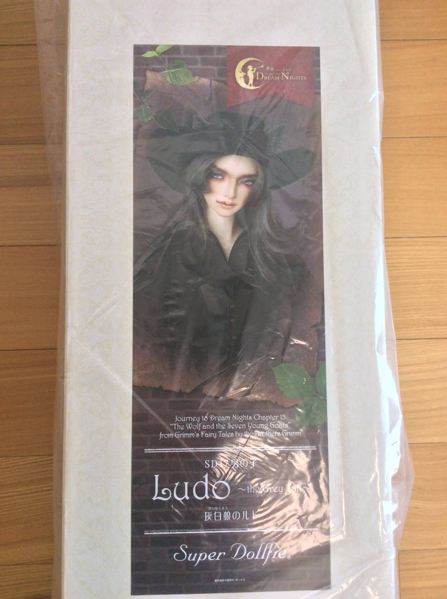 新品未開封品】◇ ドルパ49 ◇ SD17男の子 Ludo ~the Grey Tail