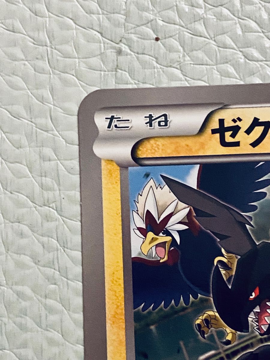 ゼクロム プロモ jr北海道 ポケモン調査隊2011 ポケモンカード ゼクロム プロモ jr北海道 ポケモン調査隊2011 ポケモンカード
