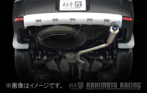  gome private person shipping possibility GTbox 06&S kakimoto muffler MITSUBISHI Delica D5 LDA-CV1W diesel turbo 4N14 4WD 6AT (M44333)