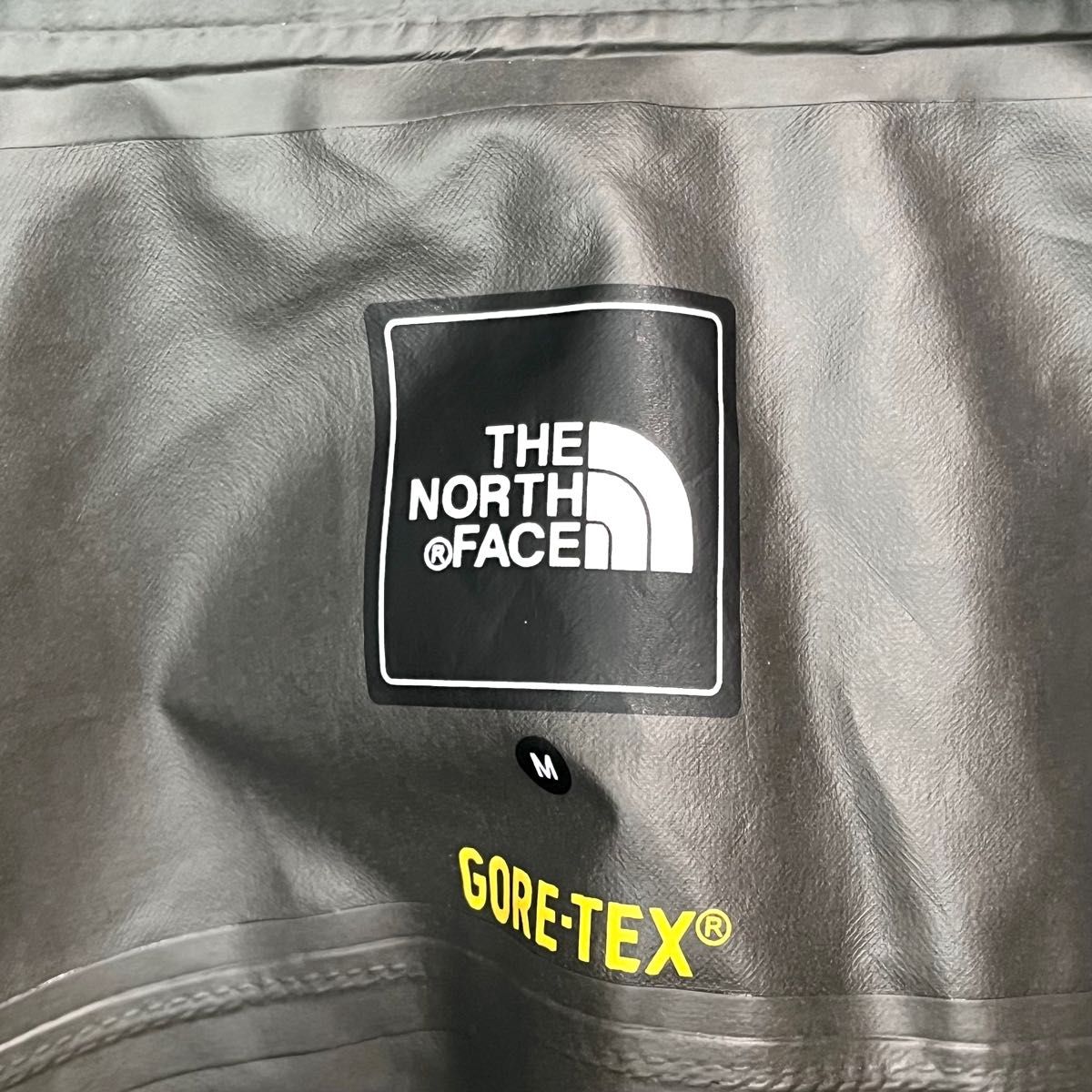 極美品 収納袋付 ノースフェイス ゴアテックス マウンテンパーカー レディースM THE NORTH FACE フード着脱可能