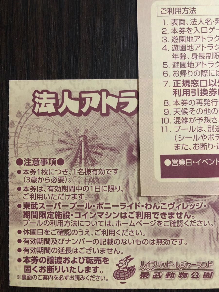 ① 東武動物公園 フリーパス 2枚 入園 遊園地 動物園 乗り放題|PayPay
