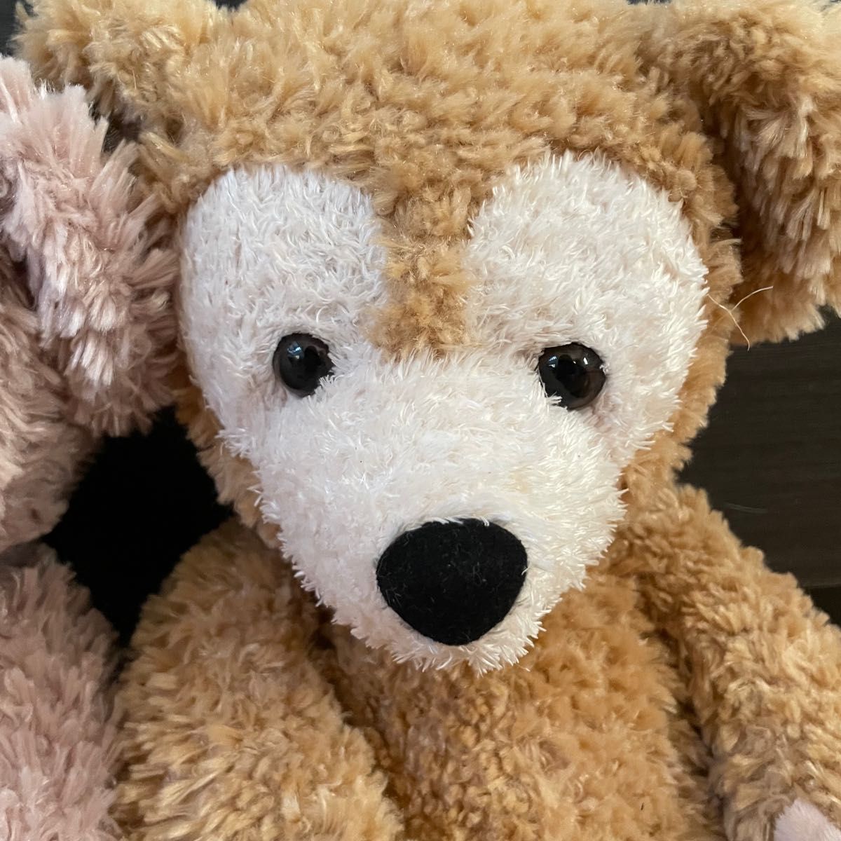 ダッフィー シェリーメイ ぬいぐるみ Sサイズ ディズニー TDS ダッフィー シェリーメイ ぬいぐるみ Sサイズ ディズニー TDS