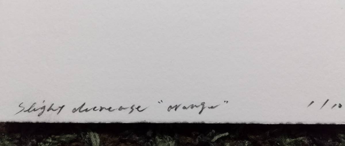 大西伸明 『Slight decrease “orange”』 1997年 直筆サイン入 大西伸明 『Slight decrease “orange”』 1997年 直筆サイン入