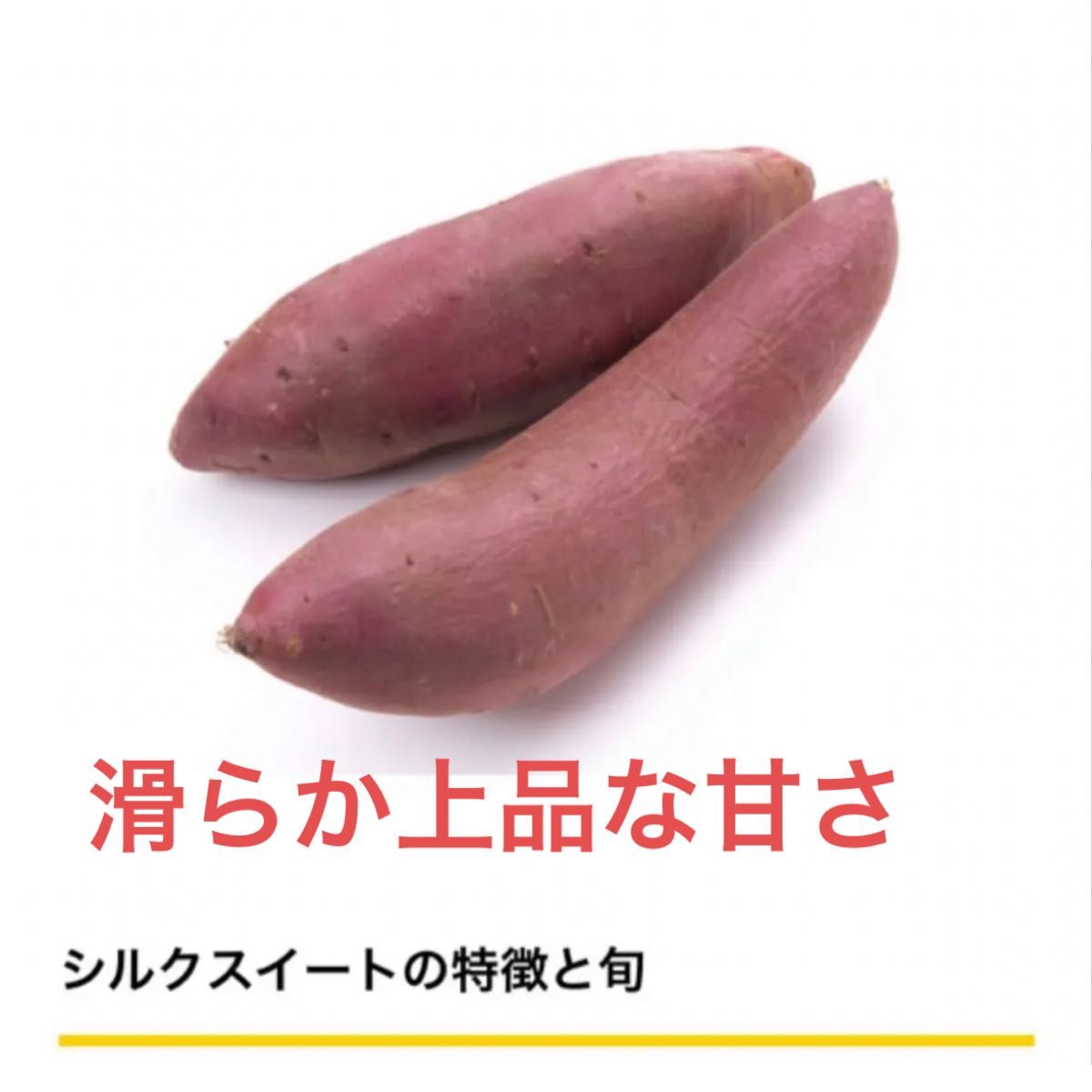 し シルクスイート さつまいも苗100本送料込みサツマイモ苗|Yahoo
