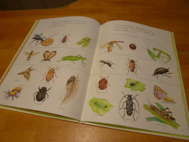  luck sound pavilion bookstore insect ...... moreover, .