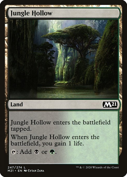 MTG ■土地/英語版■ 《ジャングルのうろ穴/Jungle Hollow》★FOIL★基本セット2021 M21_画像1