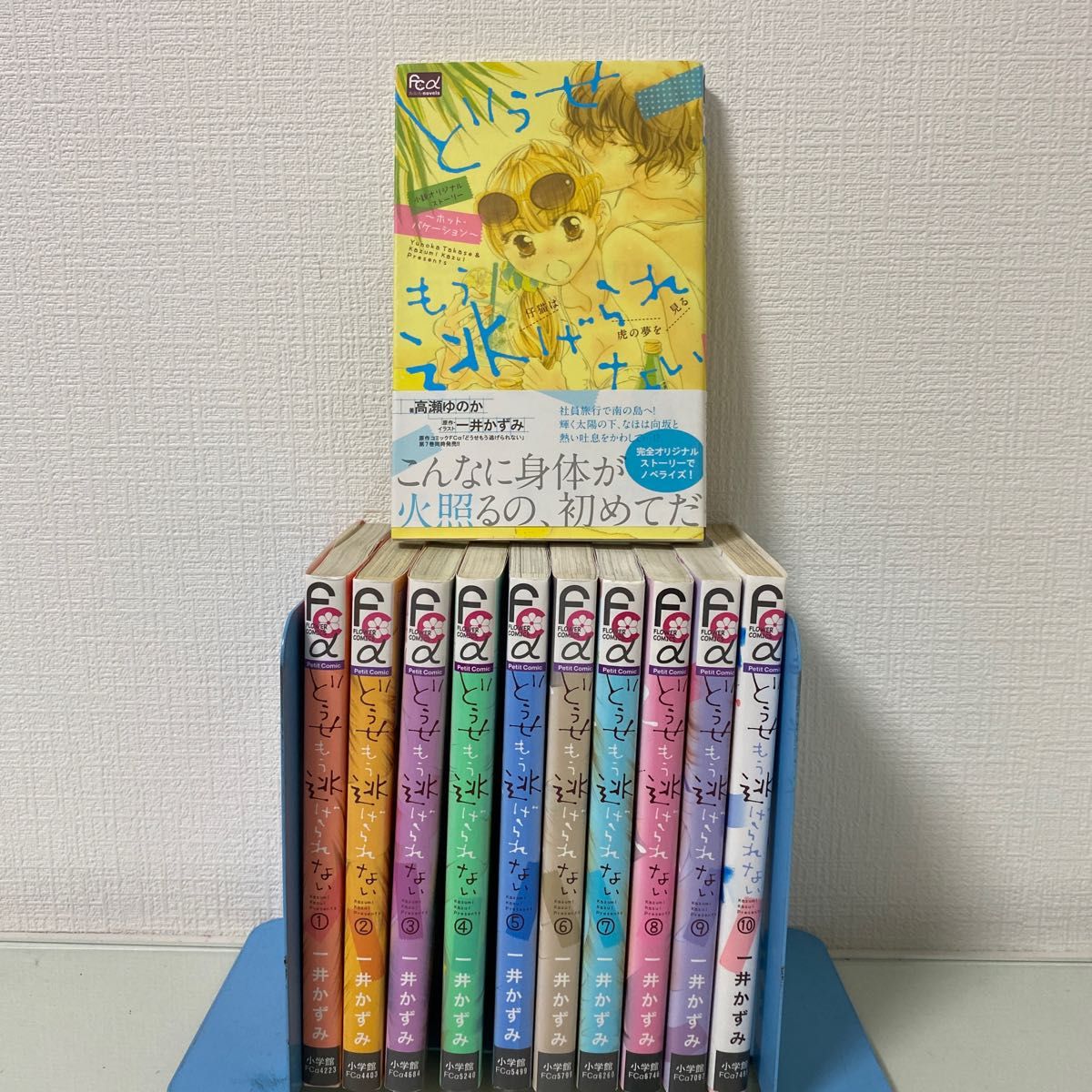 どうせもう逃げられない 1〜10+1 小説(プチコミックフラワーコミックスα) 一井かずみ/著コミック 全巻