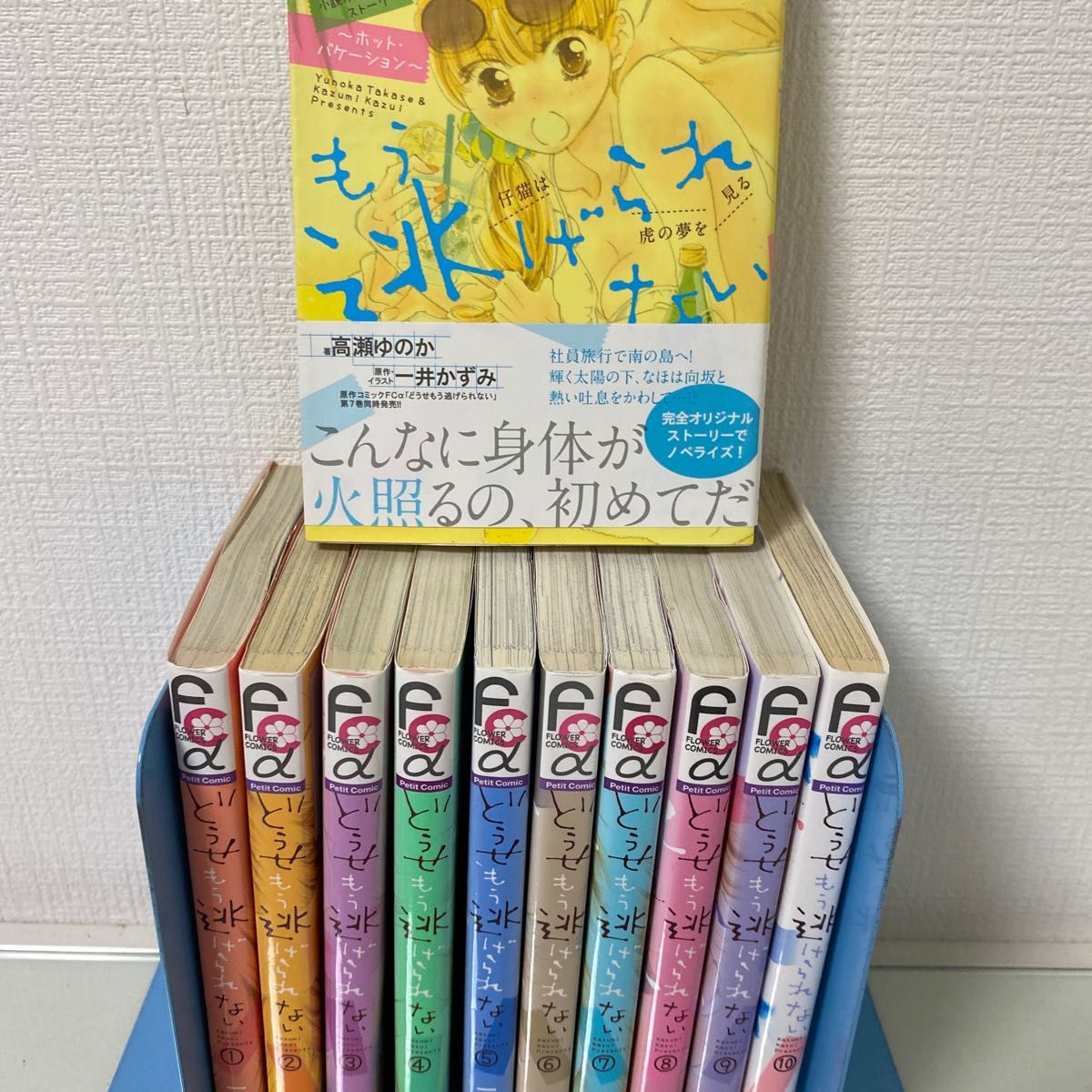 どうせもう逃げられない 1〜10+1 小説(プチコミックフラワー