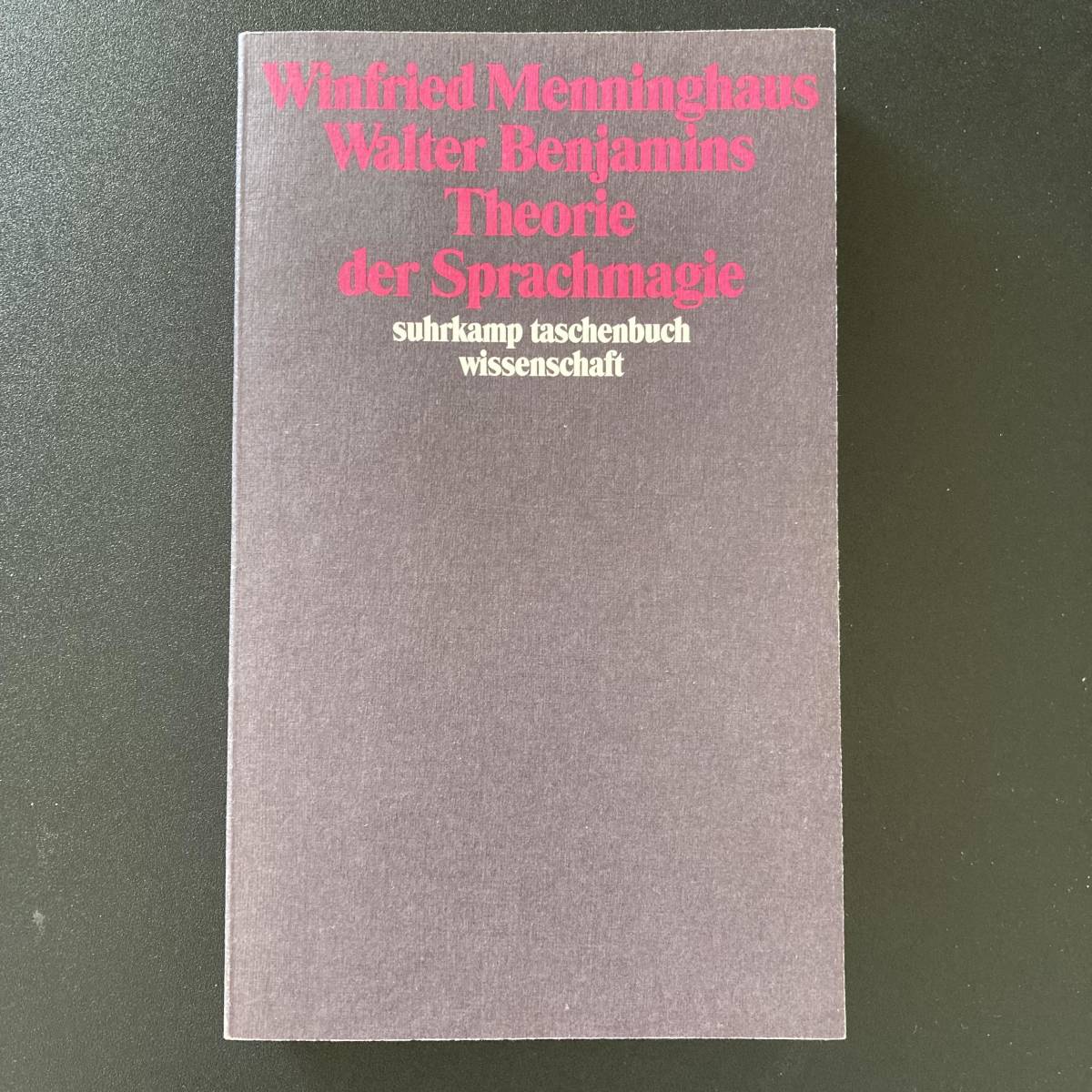 Walter Benjamins Theorie der Sprachmagie / Winfried Menninghaus (著) [ ヴィンフリ−ト・メニングハウス ; ベンヤミン ]_画像1