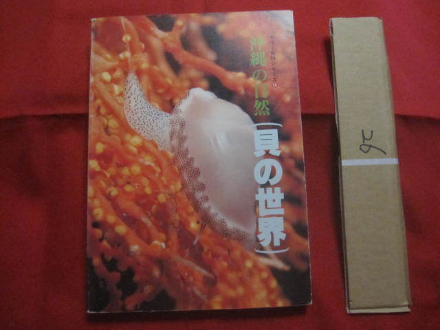 ★沖縄の自然 　　 貝の世界 　　 カラー百科シリーズ　⑩ 　　　　 【沖縄・琉球・自然・海洋生物・動物・図鑑】_画像1