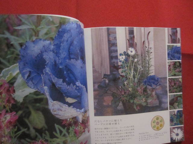 * 7 . green. container style raw . flower. like ..... simple able to!! [ Okinawa *. lamp * gardening ]