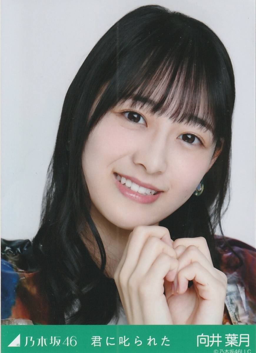 乃木坂46 向井葉月 生写真 乃木コレ 君に叱られた ノーマル ヨリ 乃木坂46 向井葉月