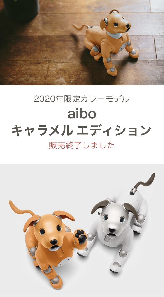 SONY アイボ ERS-1000 キャラメルエディション 限定モデル | www