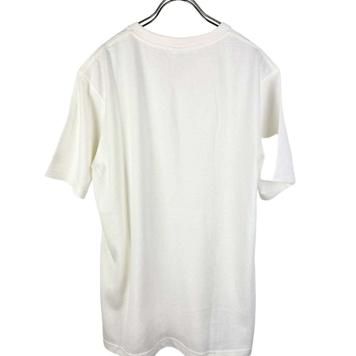 Champion(チャンピオン) Athletic Apparel V Neck T Shirt (white)