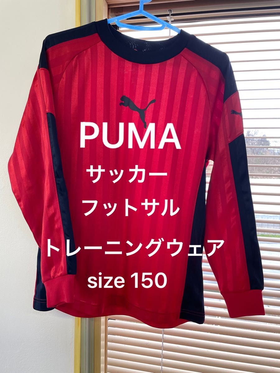 サッカー・フットサルウェア 150サイズ - 通販 - guianegro.com.br