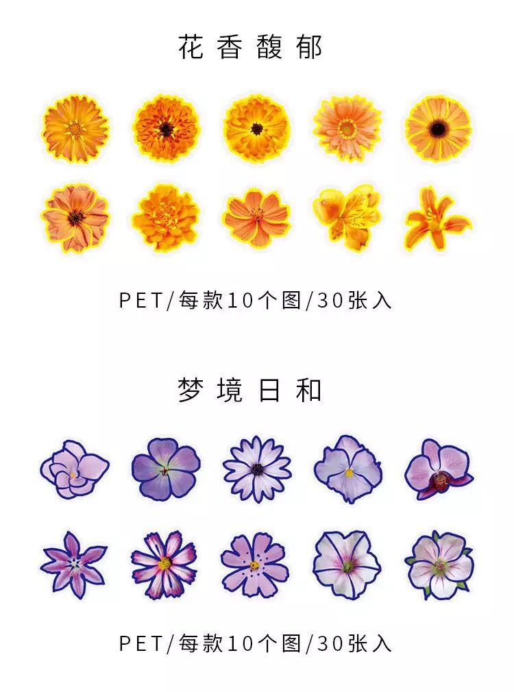 新品　シールステッカー　8種　花　植物　コラージュ　スクラップブッキング　紙もの　おすそ分けファイル　ジャーナル素材　紙モノ_画像4