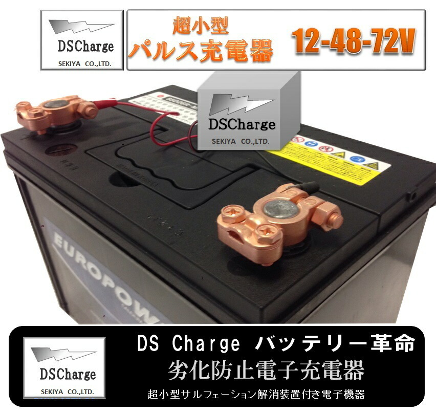 電動カートバッテリー 自動再生 超小型パルス DS Charger 2個セット バッテリー交換不要 バッテリーにつけるだけで 寿命が２倍３倍_画像4