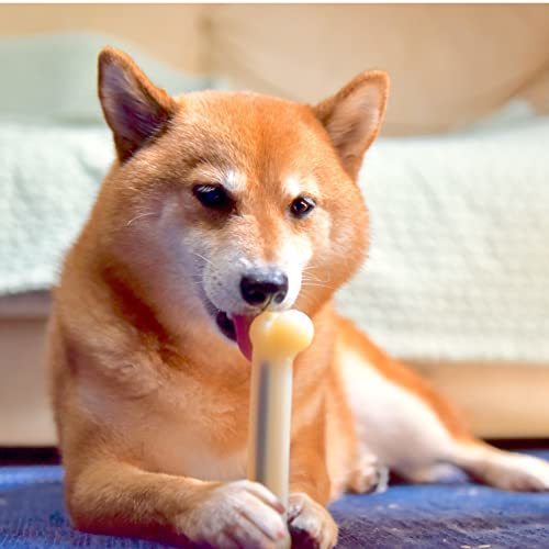 THE SPORN COMPANY(ザ スポーンカンパニー) 犬用おもちゃ デンタルトーイ マローボーン チーズフレーバー ジャンボ_画像7