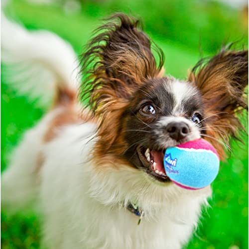GiGwi(ギグウィ)犬用おもちゃ ギグウィテニスボール 3P 普通_画像6