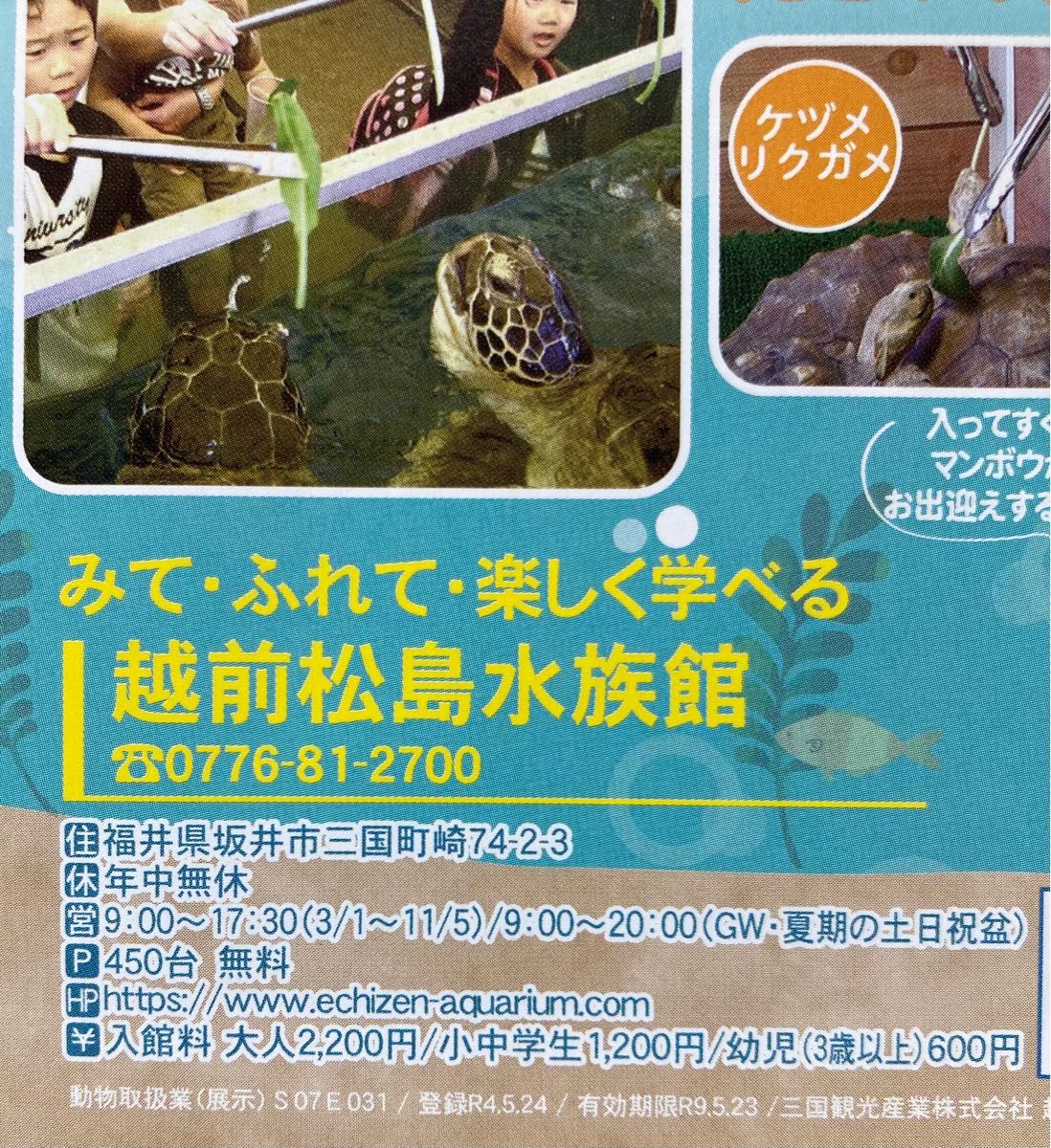 新作人気モデル 越前松島水族館 割引券 3枚 sonrimexpolanco.com