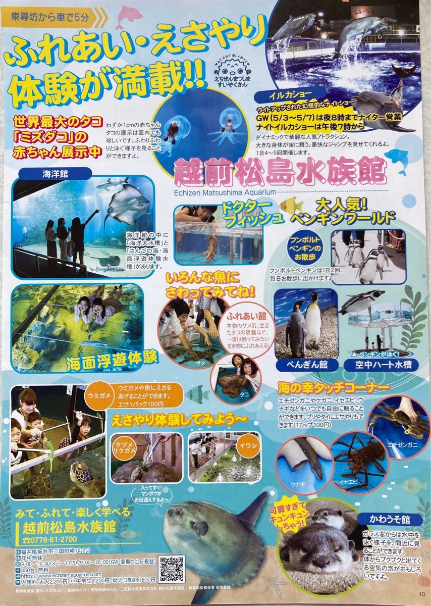 越前松島水族館 入館料割引券 クーポン3枚|PayPayフリマ 松島水族館 割引券