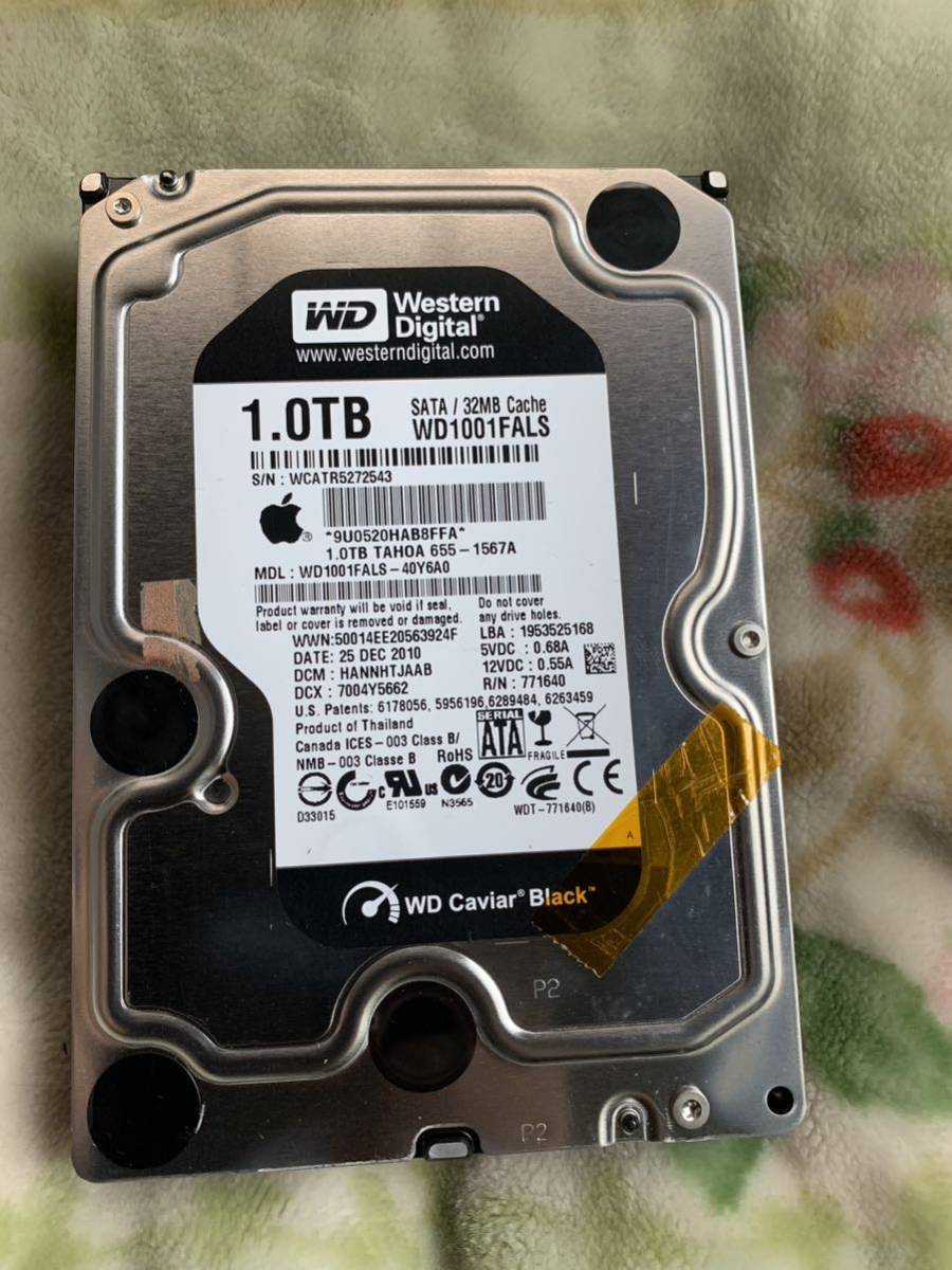 Western Digital WD1001FALS 1TB SATA 3.5インチ　全国送料無料_画像1