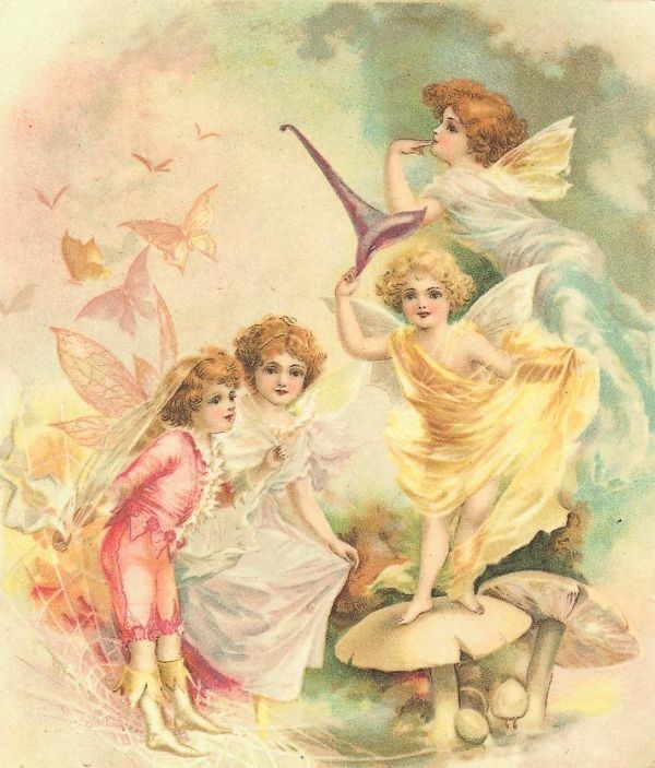  Vintage angel .. Angel Elf fea Lee small person image photograph 400 kind material compilation flower girl dowa-fno-m butterfly . flower river side god. using 