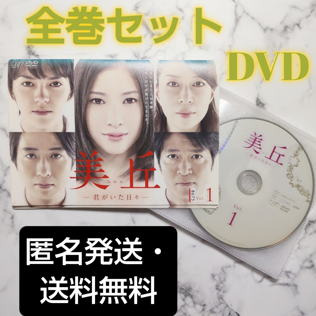 吉高由里子★林遣都★勝地涼『美丘－君がいた日々－』レンタル落ちDVD★全巻