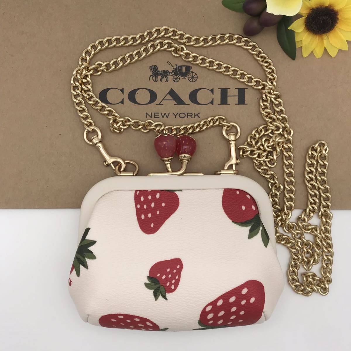 COACH ショルダーバッグ ★大人気★ ノラ キスロック ワイルド ストロベリー プリント コインケース がま口 CH356 IMCAH 新品