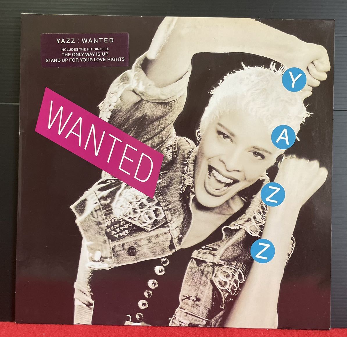 Yazz / Stand Up For Your Love Rights収録の人気アルバムWanted その他にもプロモーション盤 レア盤 人気レコード 多数出品。_画像1