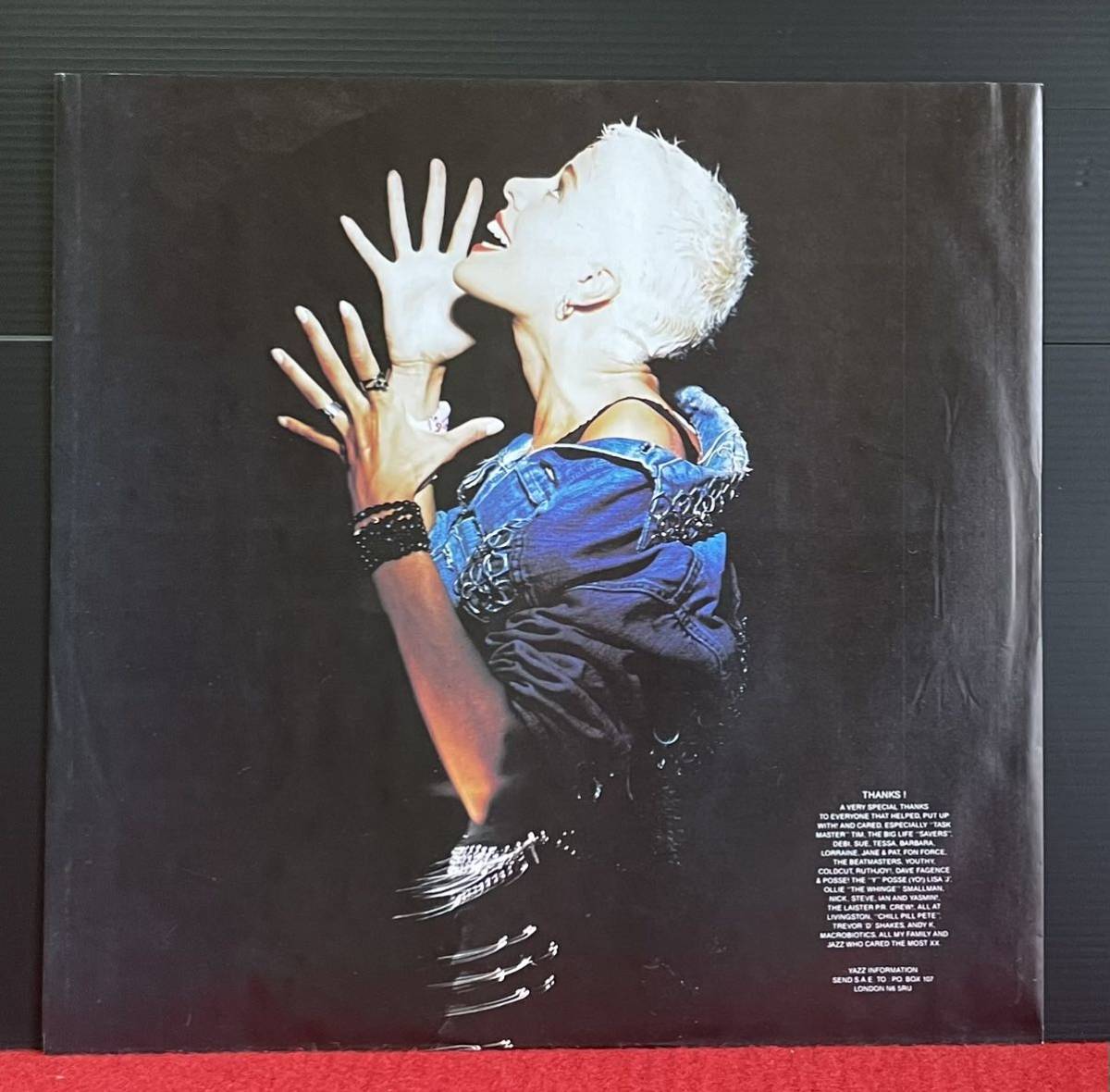 Yazz / Stand Up For Your Love Rights収録の人気アルバムWanted その他にもプロモーション盤 レア盤 人気レコード 多数出品。_画像2