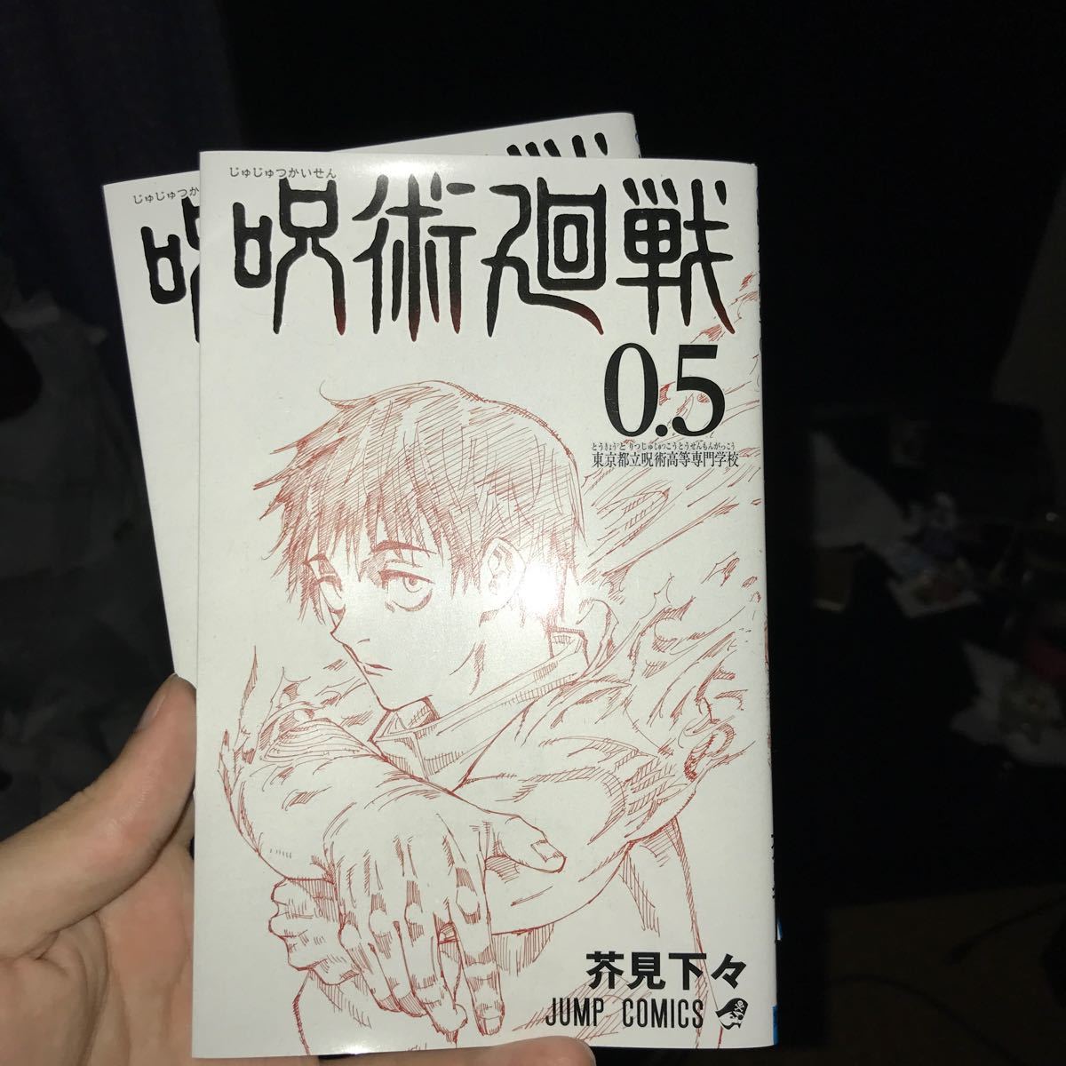 全巻セット 冬コミ ドメスティックな彼女 週刊少年マガジン 袋とじ