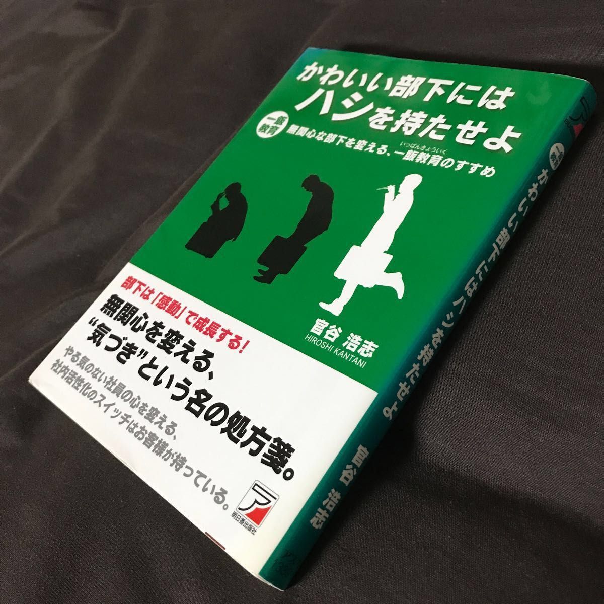 かわいい部下にはハシを持たせよ　一飯教育　無関心な部下を変える、教育のすすめ  ビジネス本　自己啓発