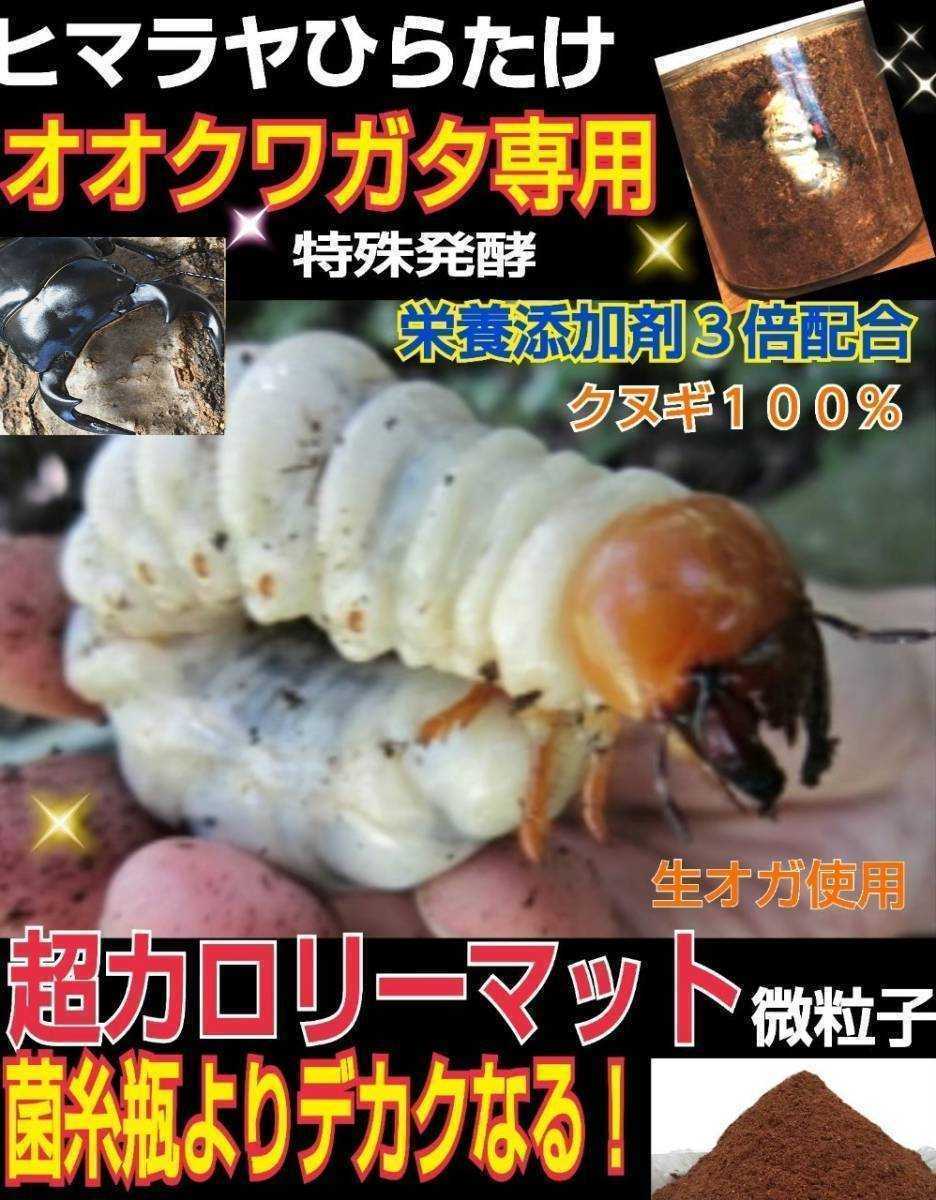  oo stag beetle exclusive use * super height calorie mat! sawtooth oak, raw oga special departure .! symbiosis bacteria, special amino acid etc. nutrition addition agent 3 times combination * ultimate special selection mat 