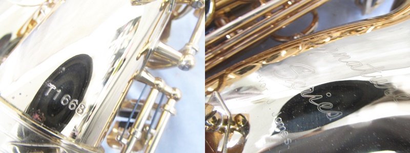 ☆ Trevor J.James Signature Series アルトサックス ケース付き