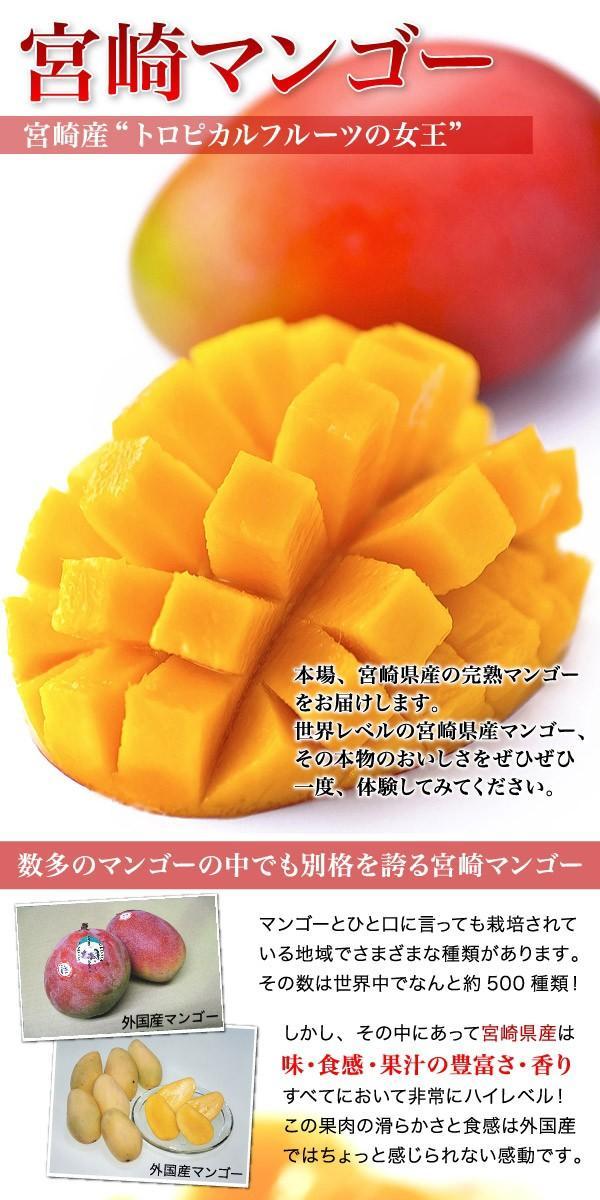 安い購入 宮崎産 完熟マンゴー 8個 4.2kg general-bond.co.jp