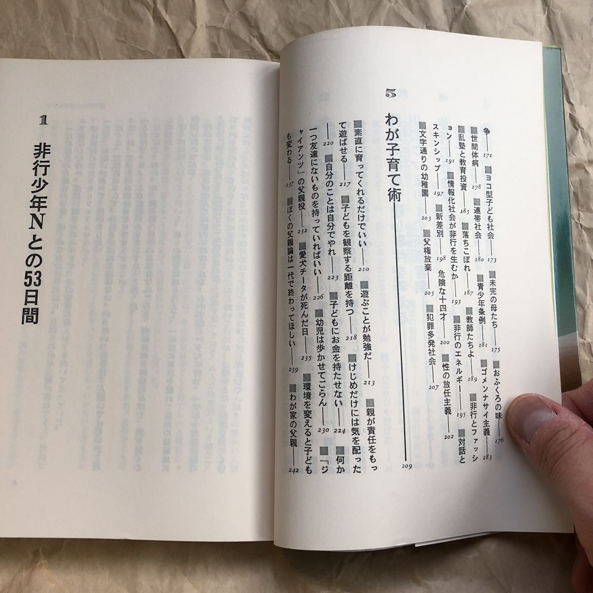 ヤフオク 教育 親たちの失敗 非行少年nとの531問 原 ヤフオク 教育 親たちの失敗 非行少年nとの531問 原