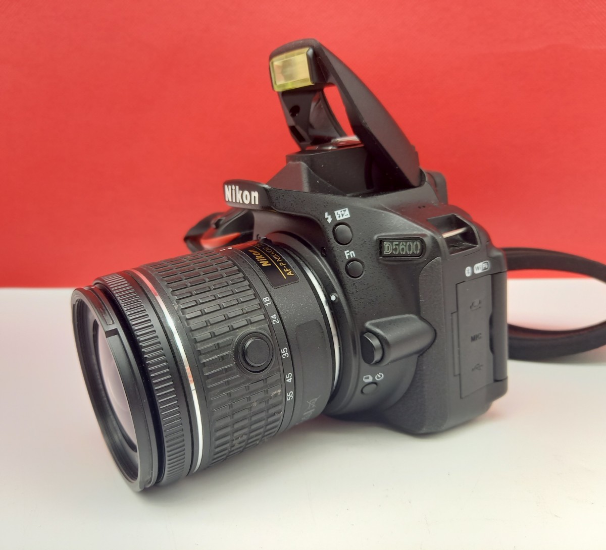 □B Nikon D5600 デジタル一眼レフカメラ AF-P DX 70-300mm F4.5-6.3G