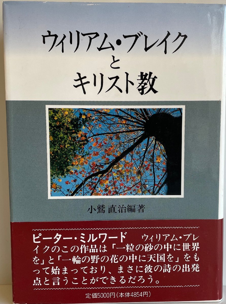 ウィリアム・ブレイクとキリスト教 小鷲直治_画像1