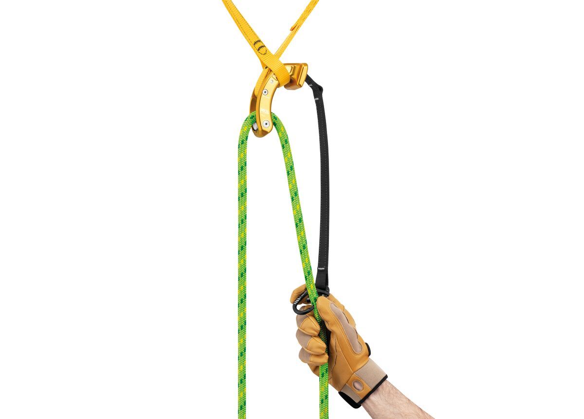 Petzl Naja アーボリストの画像3