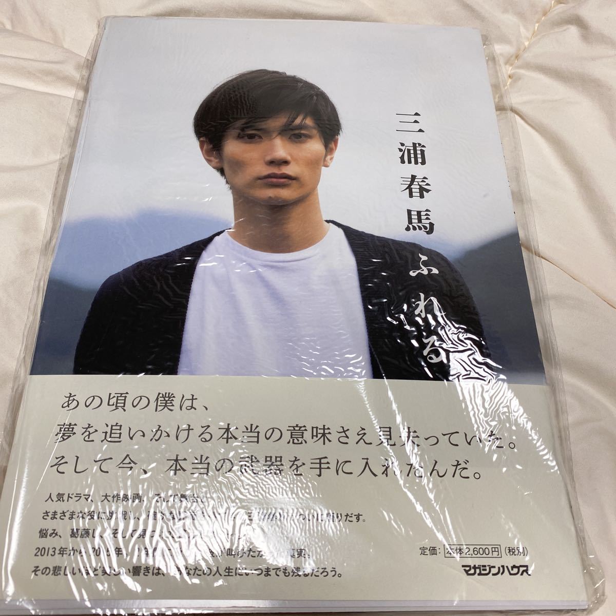 三浦春馬 ふれる 初版 美品 三浦春馬 ふれる 初版 美品