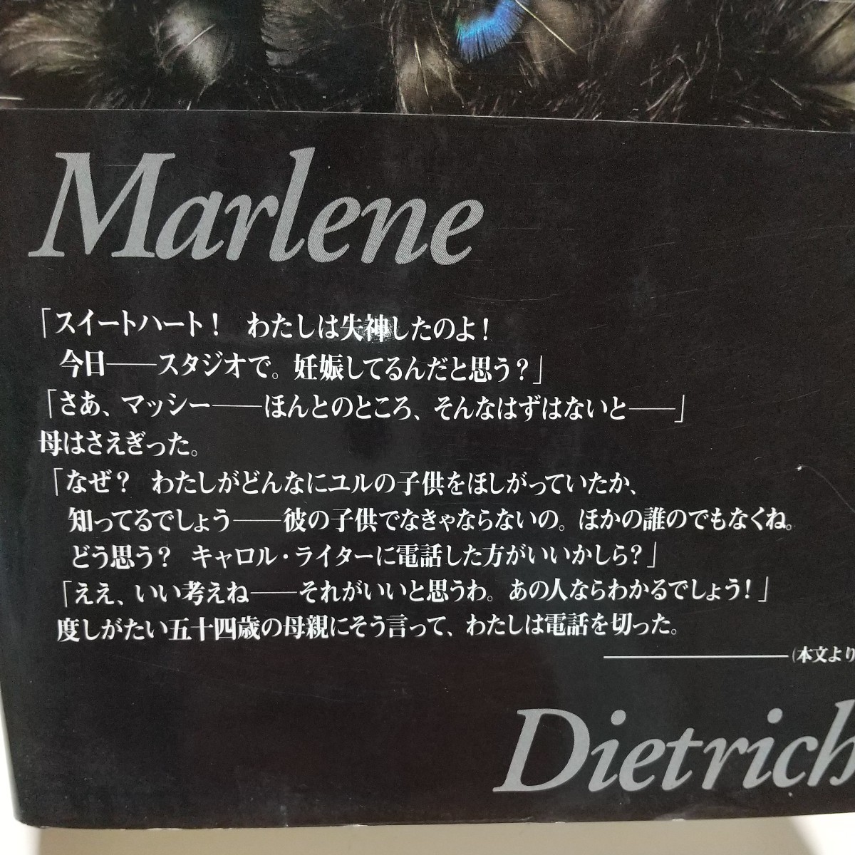 下巻 ディートリッヒ マリア・ライヴァ 幾野宏 新潮社 ※巻末に押印有 中古 Marlene Dietrich 単行本 01001F021