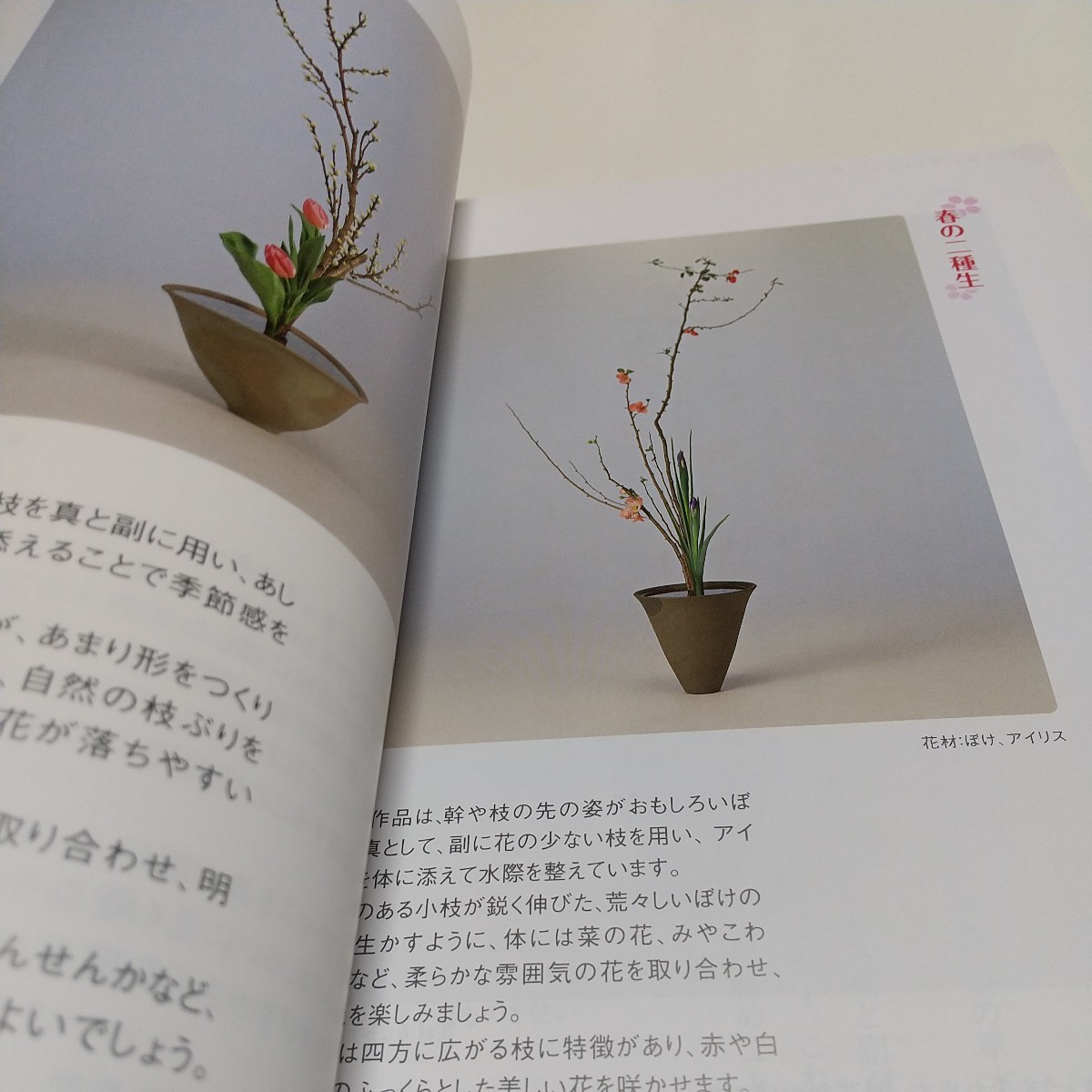 日本のいけばな第2巻 池坊専永 | farahaafrikafoundation.org