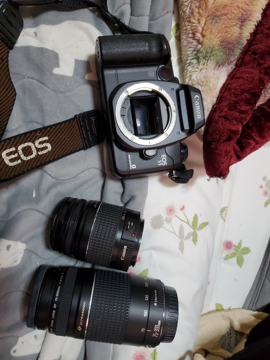 Canon EOS55(電池式フィルムカメラ)