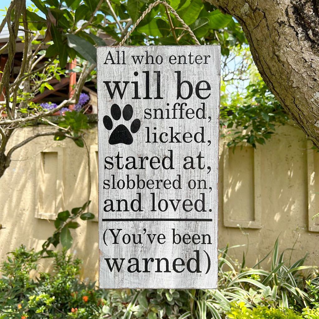 * free shipping * new goods welcome board american miscellaneous goods Vintage complete sale .. Chan goods pet .. dog dog gray 