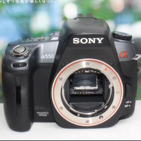 本格一眼レフに挑戦しようSONY DSLR-A550 トリプルレンズ