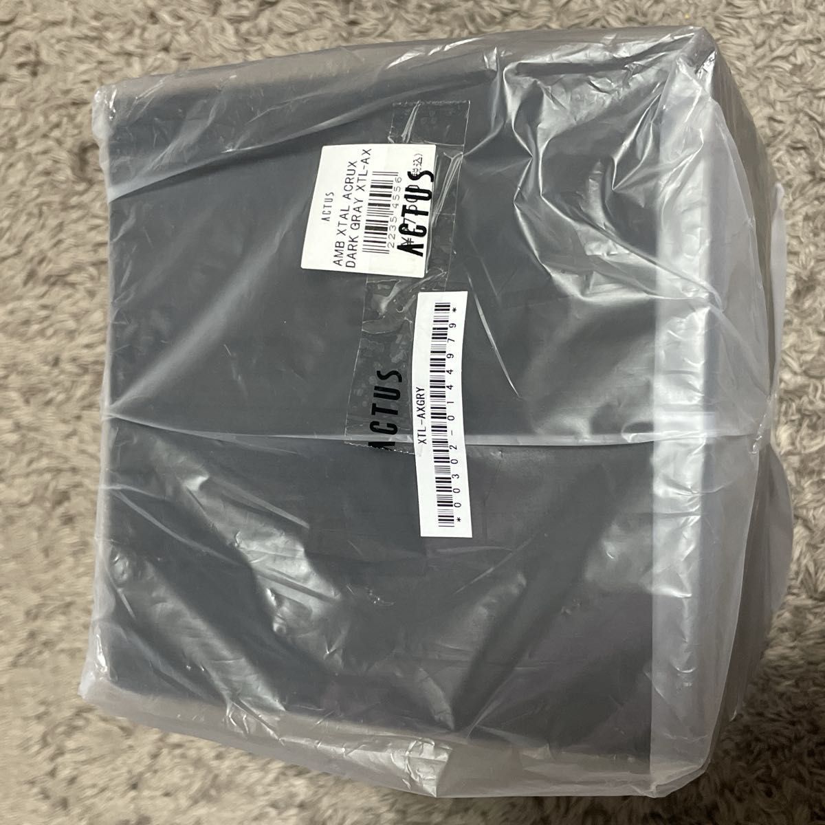 アンビエンテックXtal Acrux Dark Gray コードレスランプ