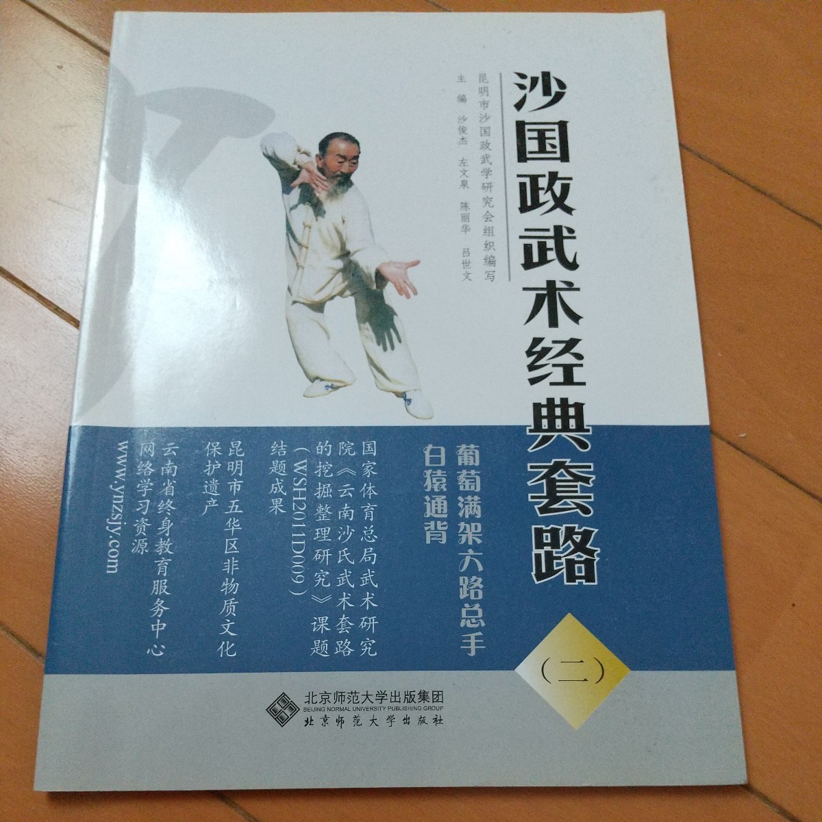 沙国政　武術経典套路　通背拳　白猿通背　少林拳　少林寺　拳法　武術　古武道　空手　気功　東洋医学　空手道