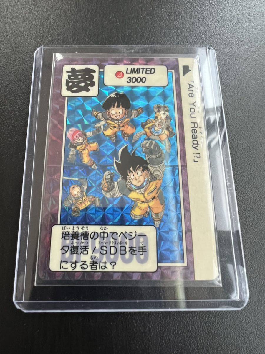 ドラゴンボールカードダス 極美品〜美品 発色濃厚